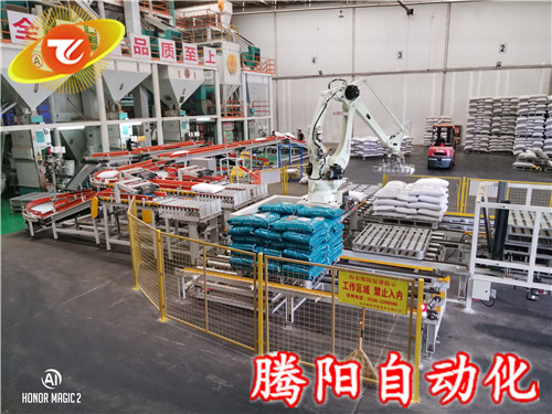 廠(chǎng)家直銷(xiāo)碼垛機(jī)器人/碼垛機(jī)械手/袋裝